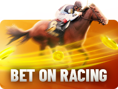 Bet On Racing IQSoft